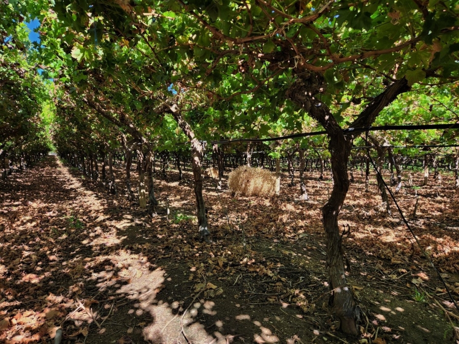 Commercial Property for Sale in Kakamas Rural Northern Cape